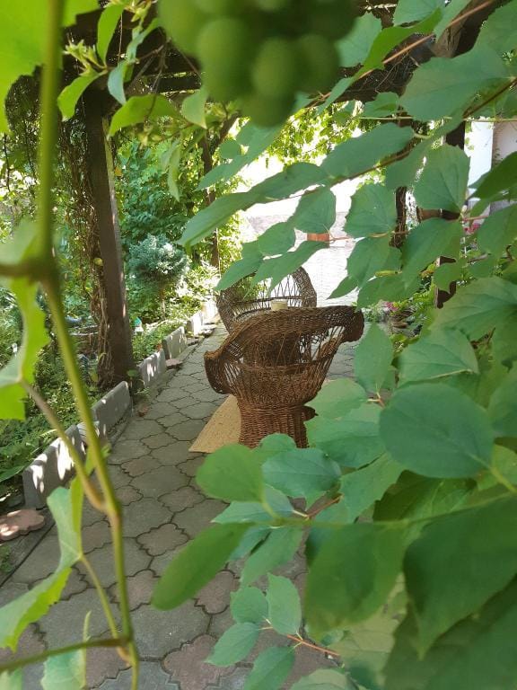 Gradina Geamiliei Vacation rental in Serbia