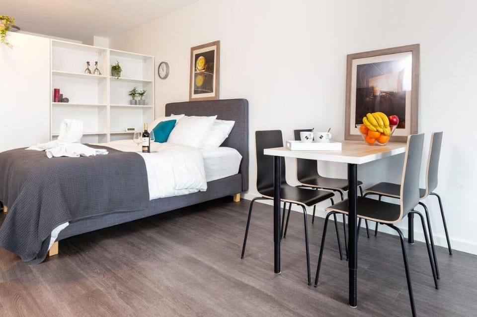 Retreat to quite newly build apt center Delft XL  Vacation rental in Delft