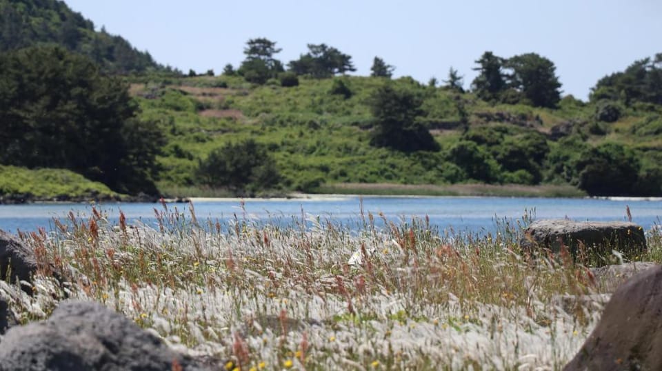 Hado fourseasons pension Bed and Breakfast in South Korea