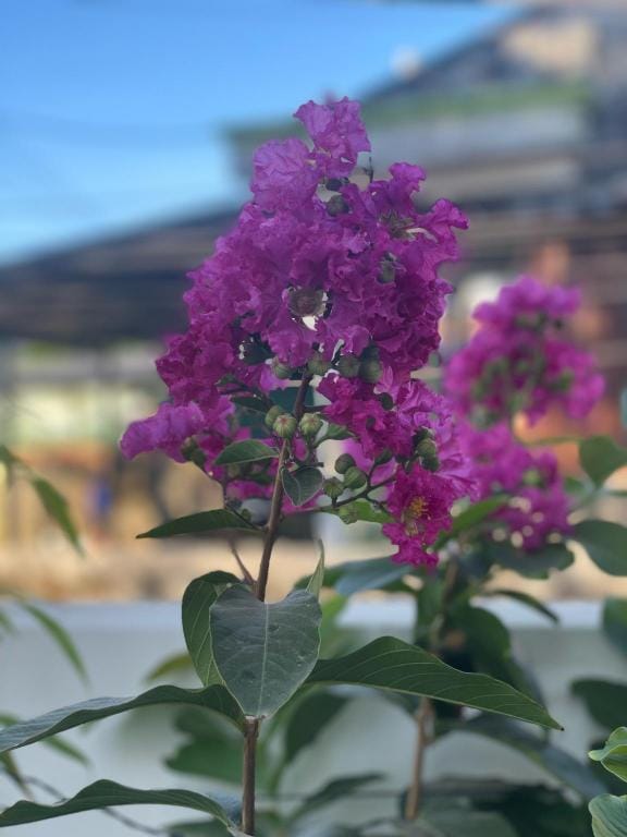 Homestay OURHOME Vacation rental in Vietnam