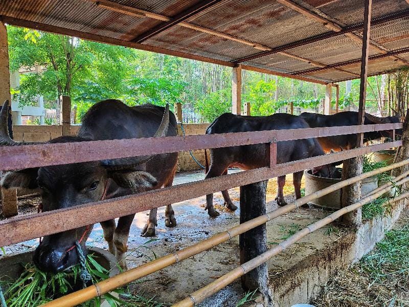 Unnamed property Vacation rental in Thailand