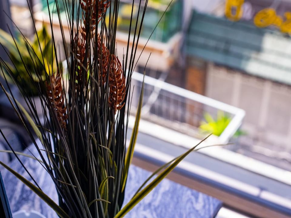 Sunkissed Loft w/BALCONY hidden in ❤ of Saigonese Apartment in Ho Chi Minh City