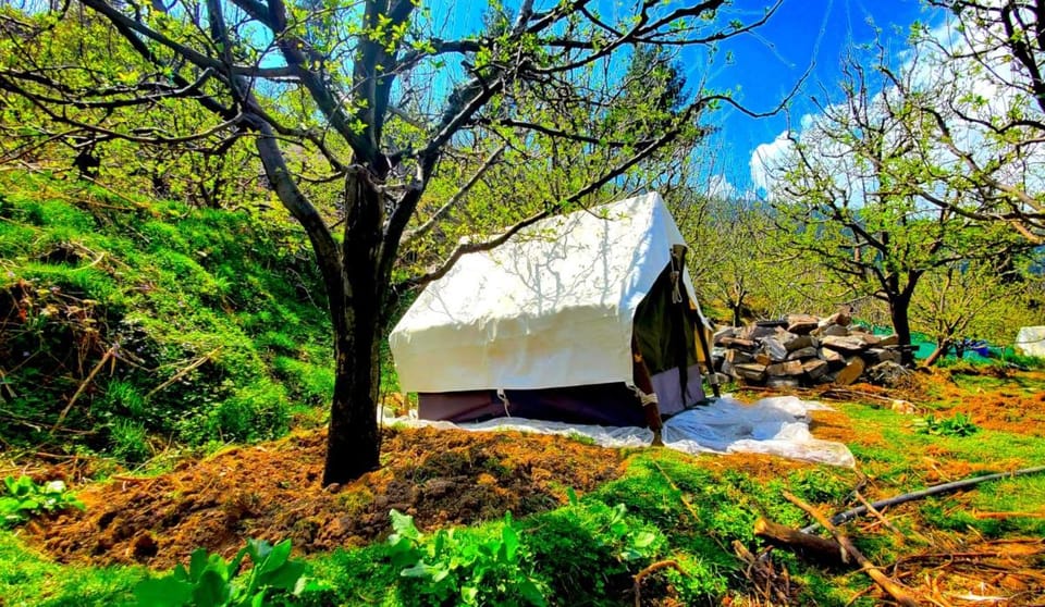 Organic Stays Luxury tent in Himachal Pradesh