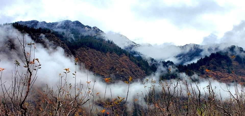 Organic Stays Luxury tent in Himachal Pradesh