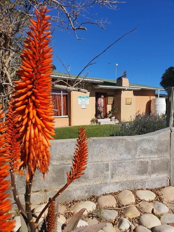 Spoelklippie Gastehuis (Whole House excl. flat) Vacation rental in South Africa