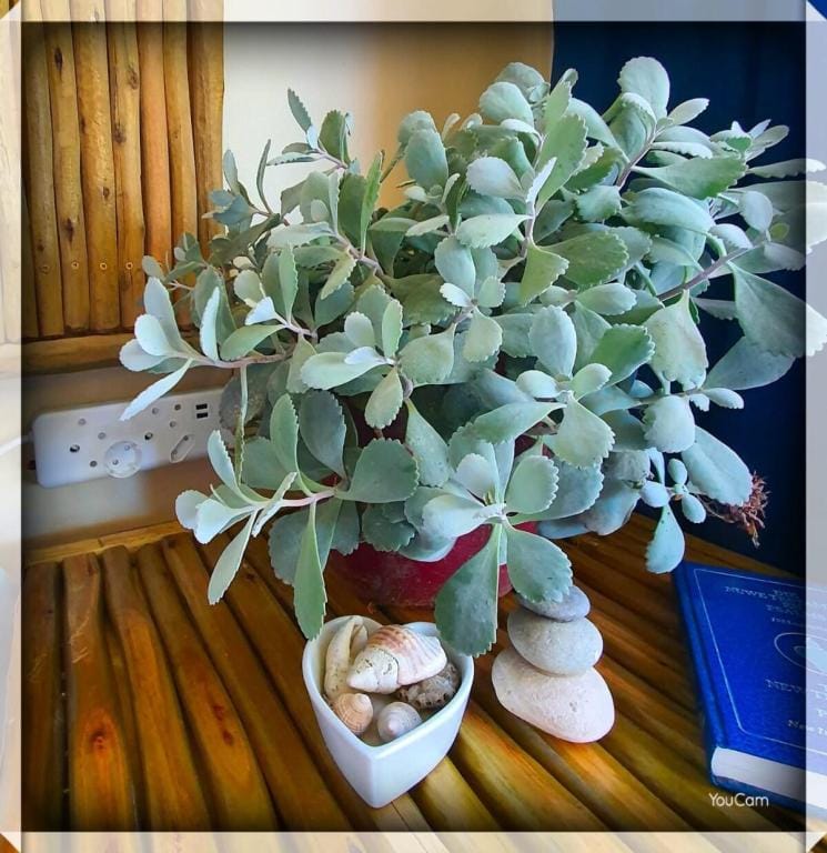 Spoelklippie Gastehuis (Whole House & Whole Flat) Vacation rental in South Africa
