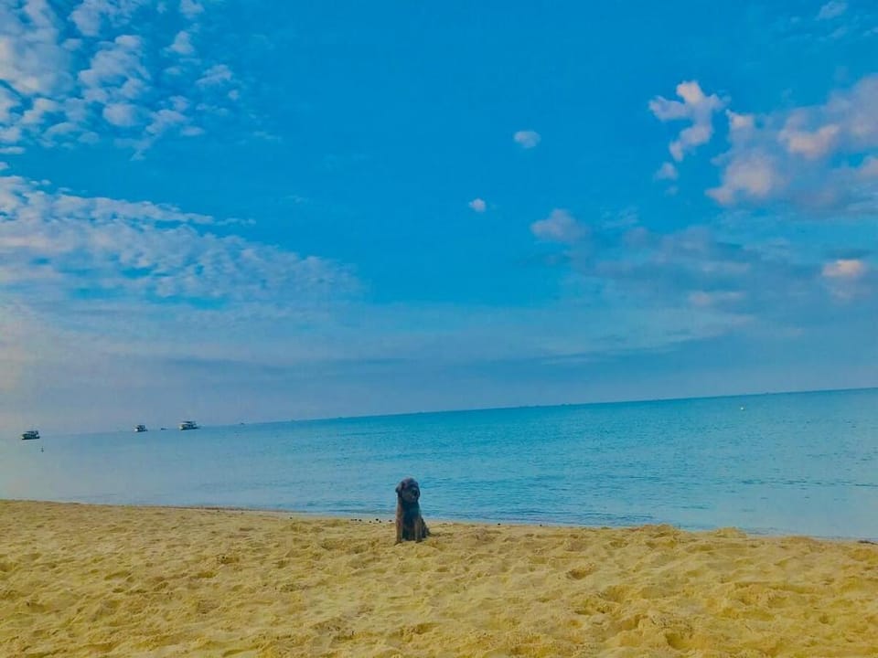 Robins Homestay - Vinpearl Grand World Phu Quoc Vacation rental in Phu Quoc