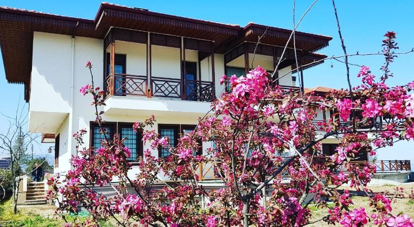 ATEŞ KONAKLARI Villa in Georgia