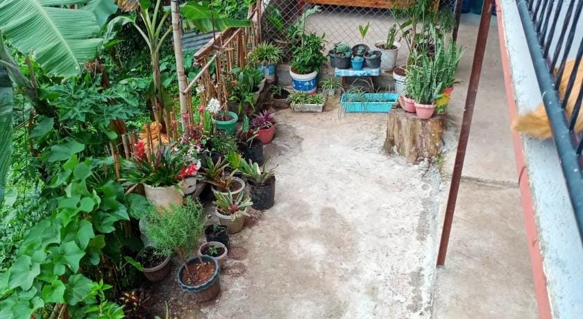 Serenity House Vacation rental in Baguio