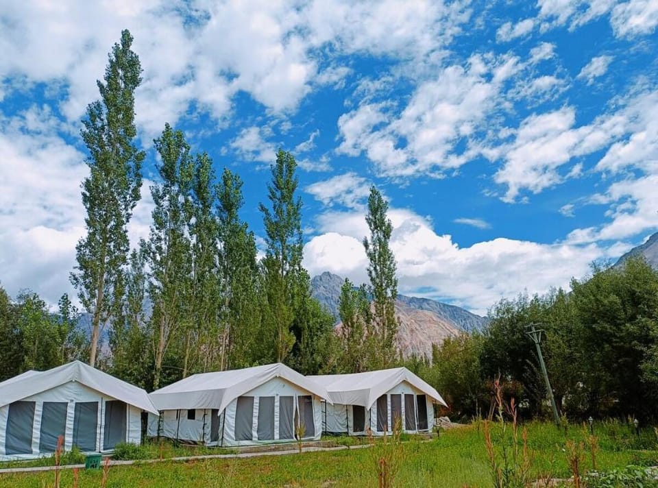 NUBRA VISTA CAMP Vacation rental in India