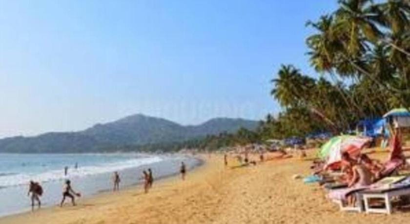 Luxury Apt near Palolem Beach¶ WFH¶Forest View Apartment in Canacona