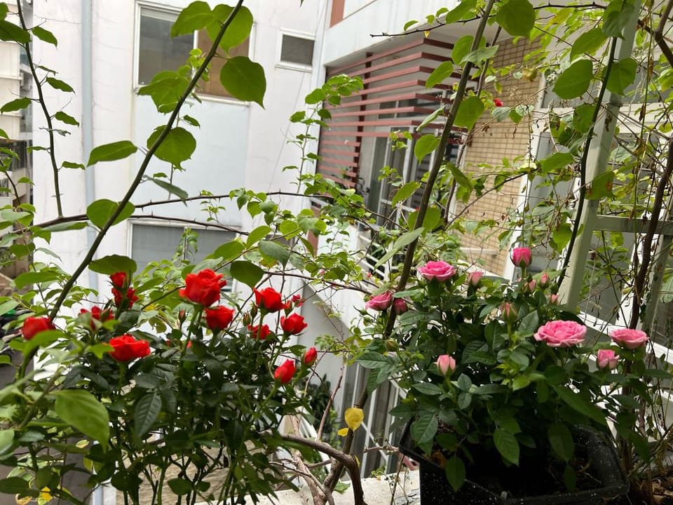 G Home Serviced Apartments Vacation rental in Ho Chi Minh City