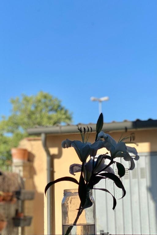 Cecina's apartment great location Vacation rental in Cecina