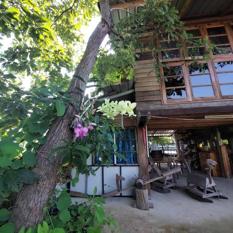 Tree 10 Villa Fram Villa in Laos