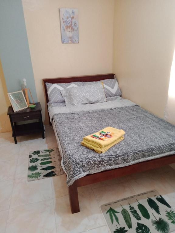 Cozy Island Home Away From Home in Mactan Vacation rental in Lapu-Lapu City