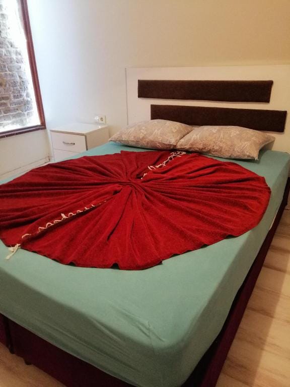 Rum evi taş bina Apartment in İzmir Province