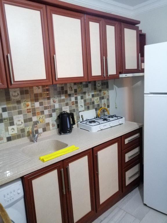 Rum evi taş bina Apartment in İzmir Province