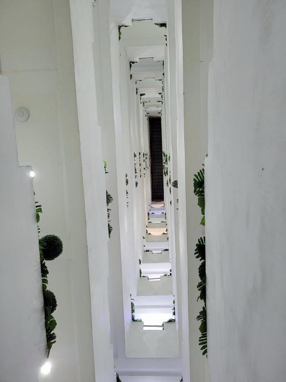 Lucky Suite Kandi 2 bedrooms Apartment in Angeles