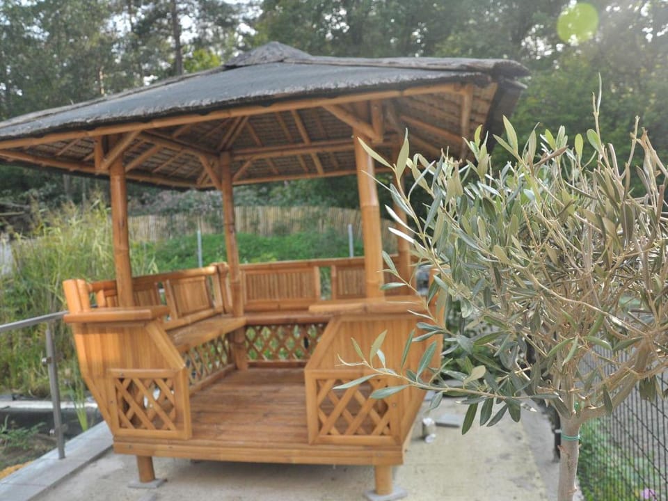 Spacious chalet in Jalhay with jacuzzi Vacation rental in Wallonia, Belgium