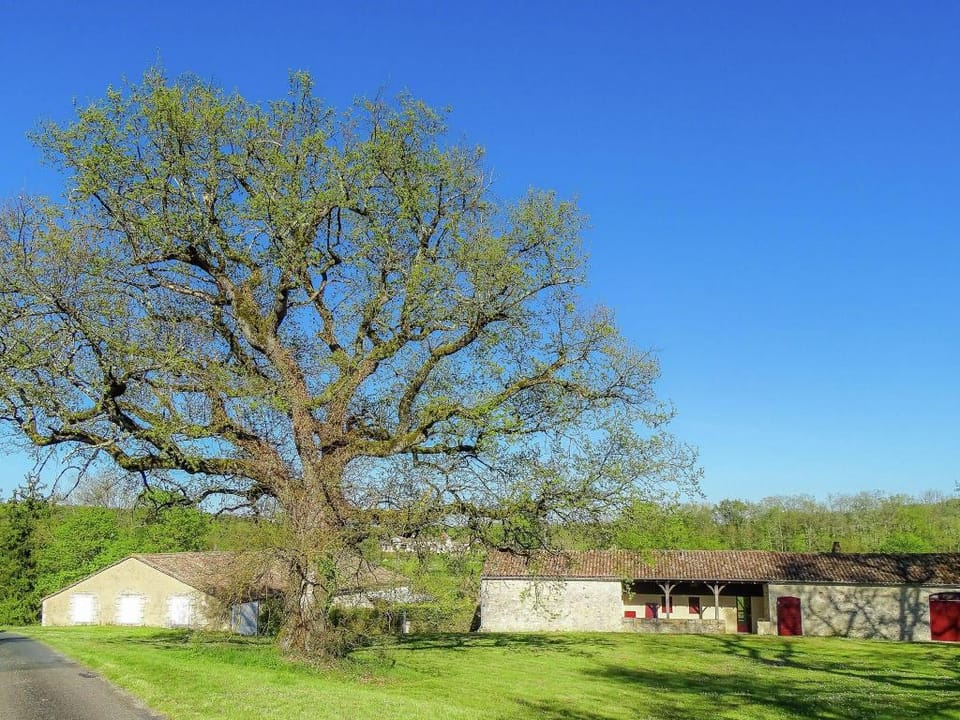 Holiday Home near Bergerac Vineyards Vacation rental in Occitanie
