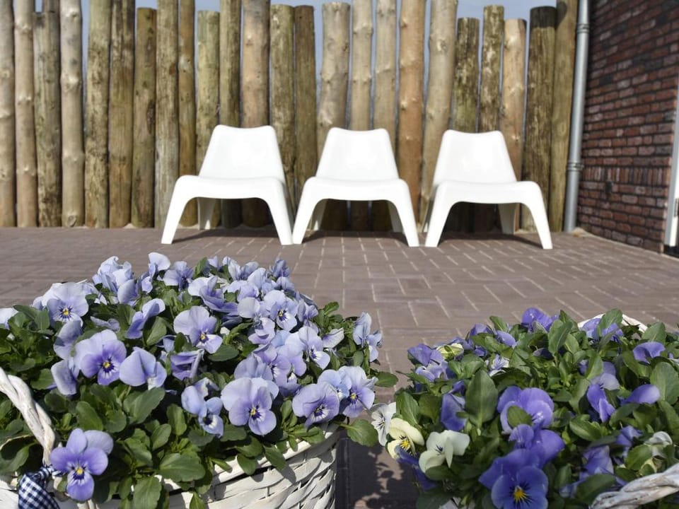 Holiday Home near Groote Keeten Beach Vacation rental in Callantsoog