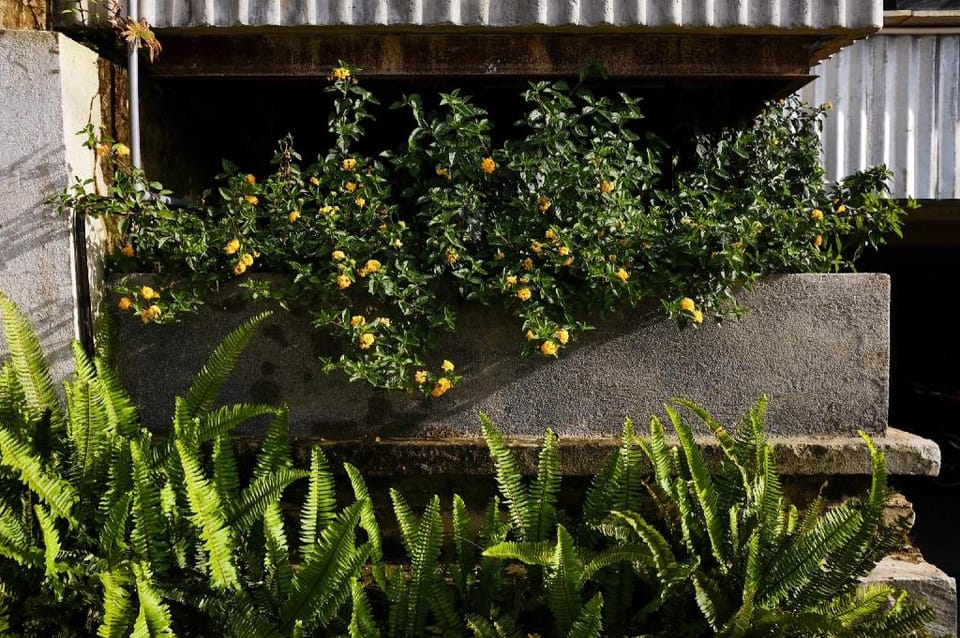 View Home - Twin room- Mountain view Vacation rental in Dalat