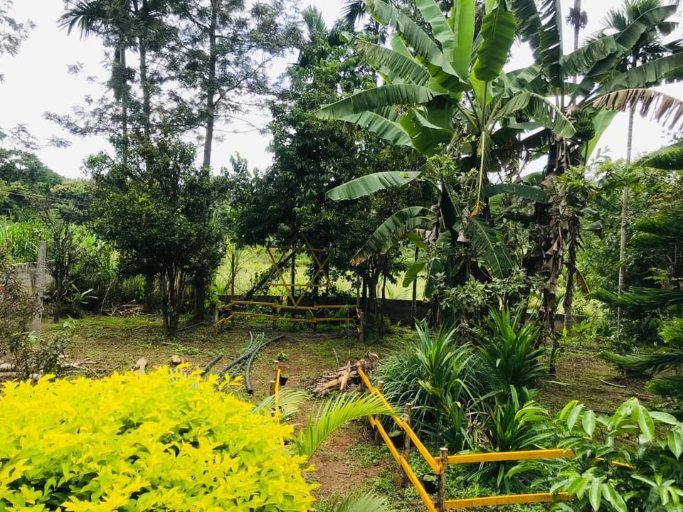 Livinhub Homestay Vacation rental in Kerala