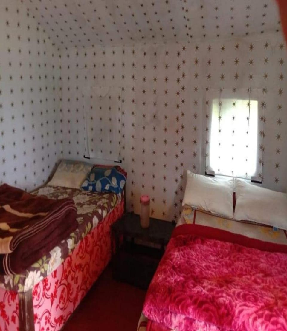 Camping at Serene Chopta Luxury tent in Uttarakhand