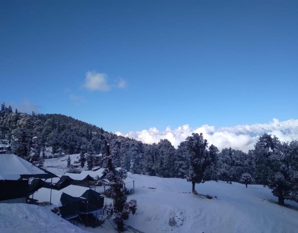 Camping at Serene Chopta Luxury tent in Uttarakhand