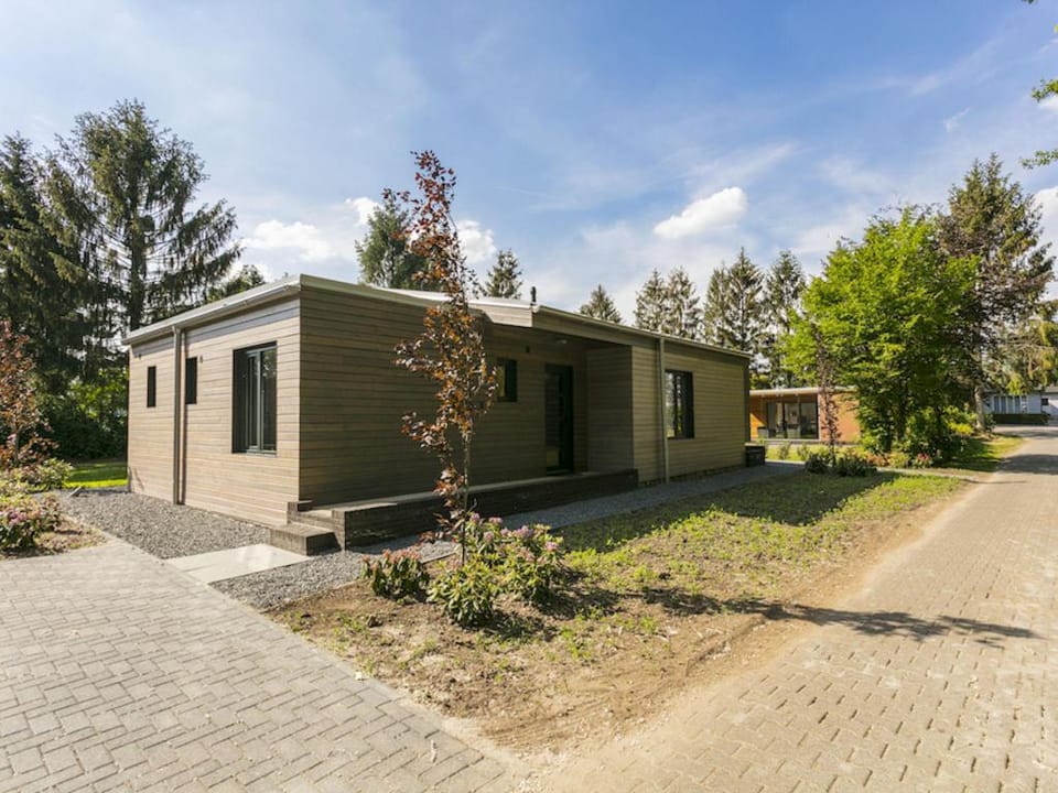 Modern Forest Chalet Vacation rental in Overijssel (province)