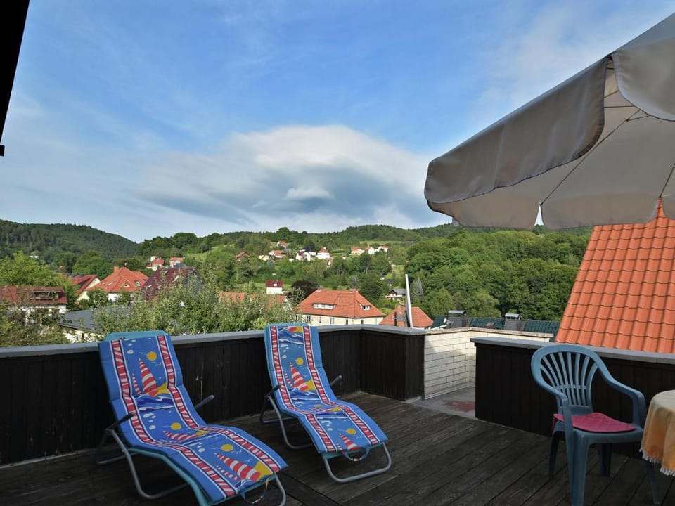 holiday home in the Thuringian Forest with roof Apartment in Thuringia, Germany