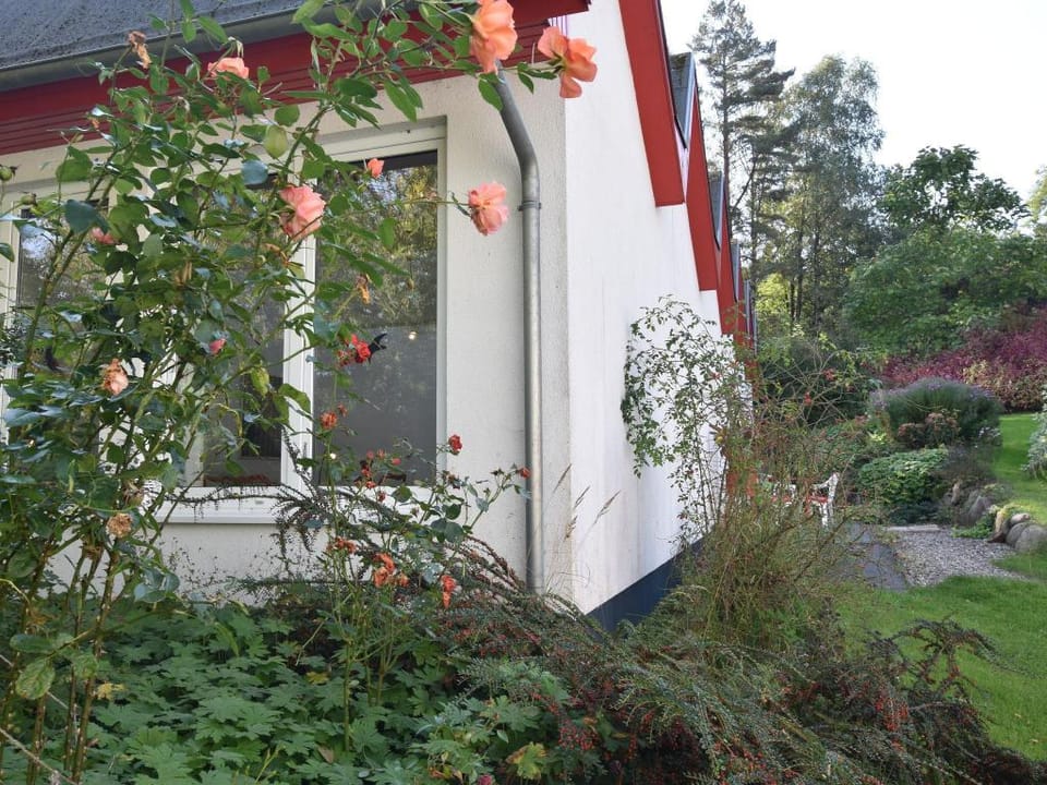 Ferienhaus Ostseeblick in Kuhlungsborn Vacation rental in Kühlungsborn