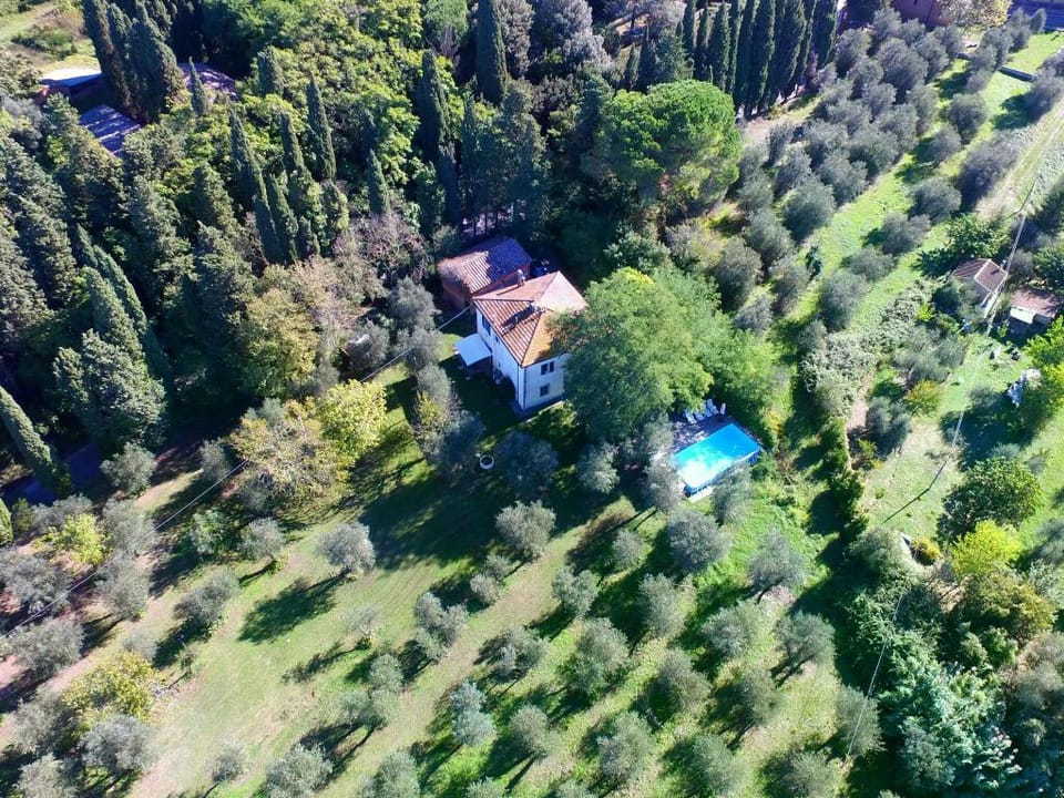 Vino, Views and Relaxing Stay Vacation rental in Tuscany