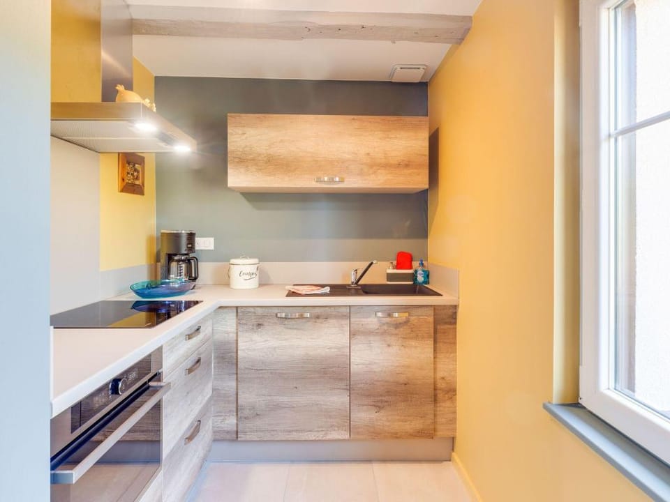 Apartment in Alsace near Haut-Koenigsbourg Apartment in Grand Est