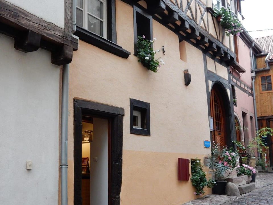 Apartment in Riquewihr near Vineyards Apartment in Grand Est