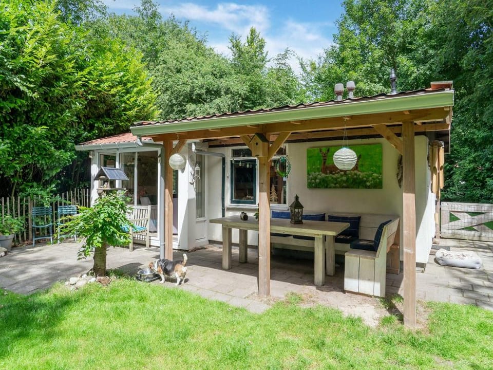House in Hunzebergen near Forest Trails Vacation rental in Drenthe (province)