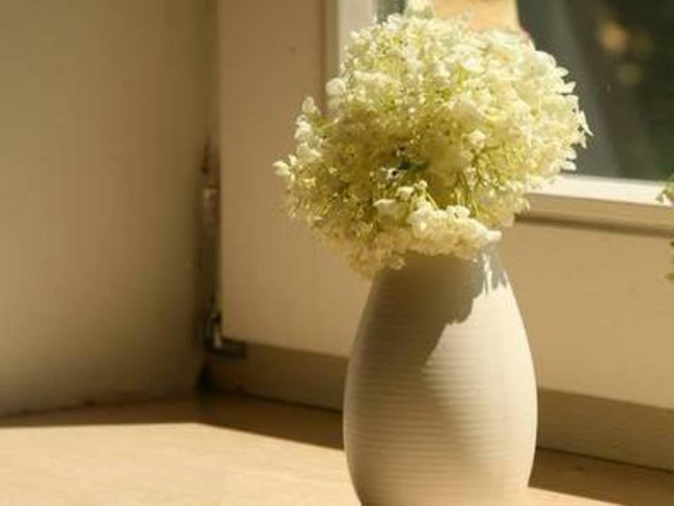 Farmhouse Wijlre near Scenic Lake Vacation rental in Limburg (province)