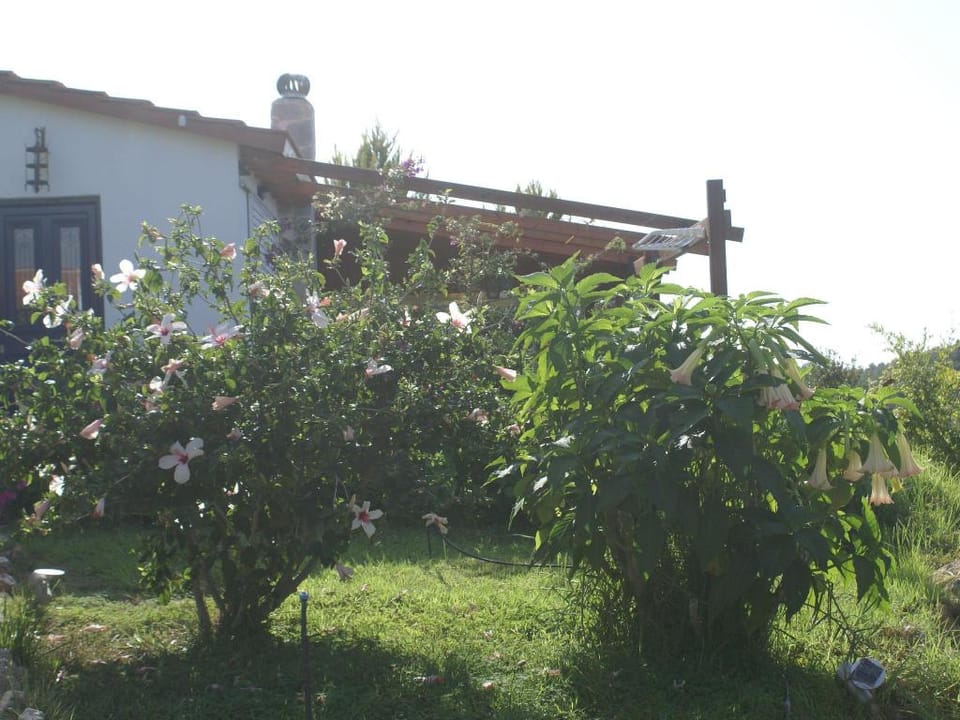Holiday Home with Garden in Kritinia Vacation rental in Rhodes, Greece
