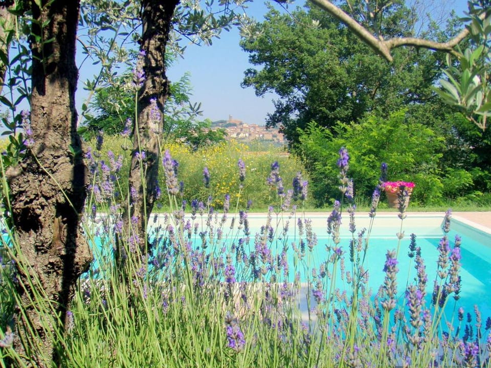 Cozy holiday house with terrace Vacation rental in Castiglion Fiorentino