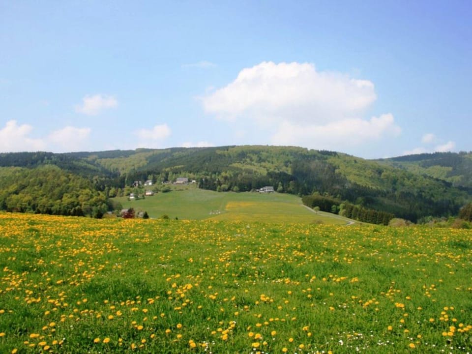Ferienwohnung bei Willingen mit eigener Terrasse Apartment in Willingen