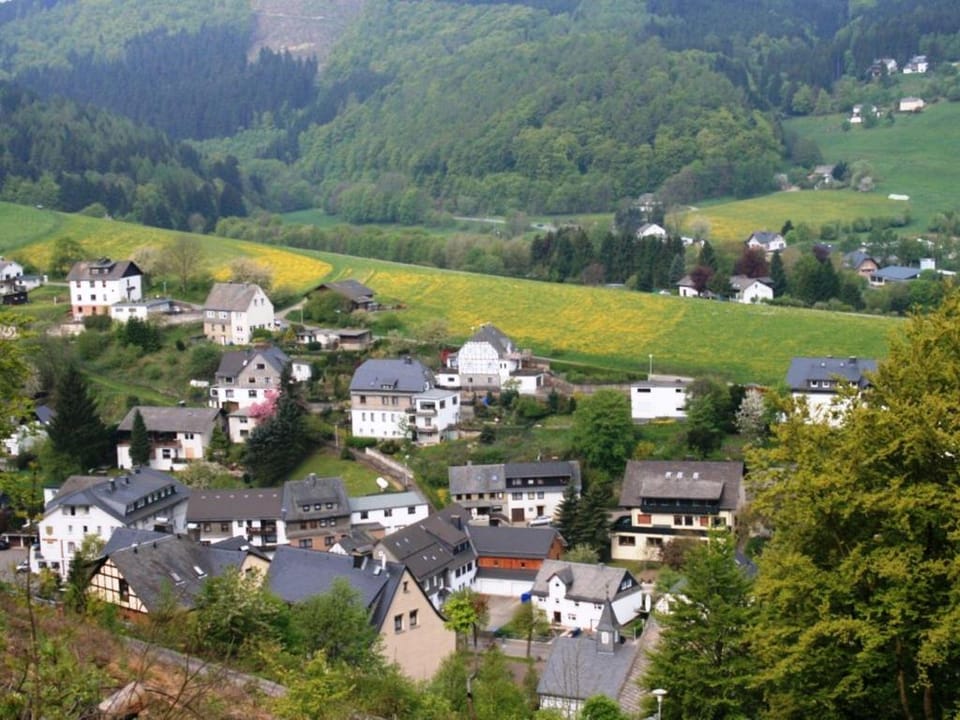 Ferienwohnung bei Willingen mit eigener Terrasse Apartment in Willingen