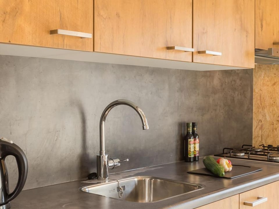 Wellness Stay with Sauna Vacation rental in Drenthe (province)