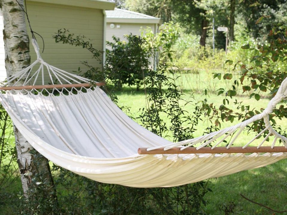 Holiday home in park in Twente Vacation rental in Overijssel (province)