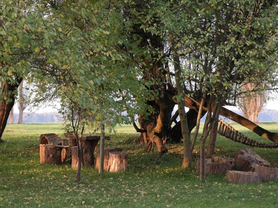 Luxuriose Ferienwohnung in Boddin mit Garten Apartment in Mecklenburgische Seenplatte