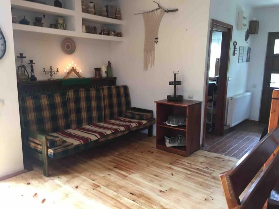 Relaxing in Carpathians land Villa in Brașov County