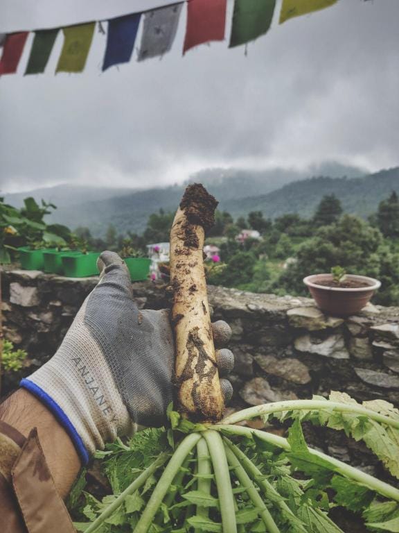 The Anjaney Boutique Stay Villa in Uttarakhand