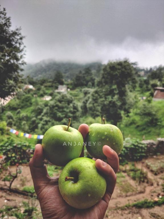 The Anjaney Boutique Stay Villa in Uttarakhand