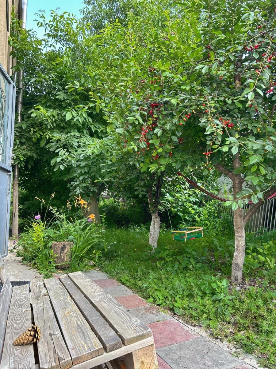 Guest House Vacation rental in Armenia