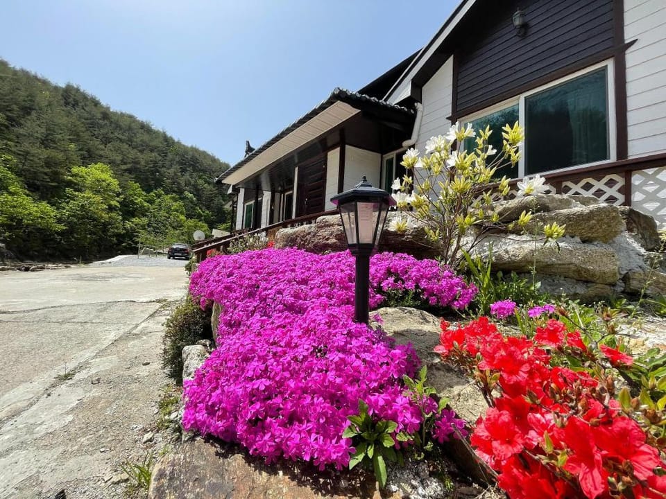 Yangyang Dalpaengi Pension Bed and Breakfast in South Korea