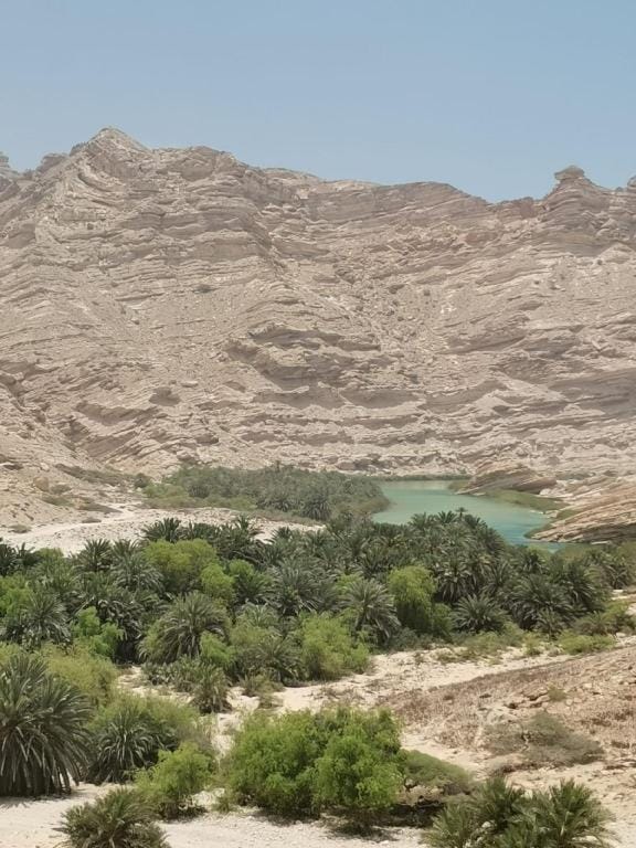 Shuimiah  Vacation rental in Oman